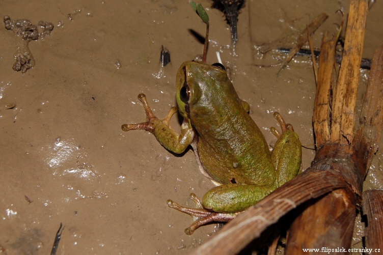 DSC_7118.jpg