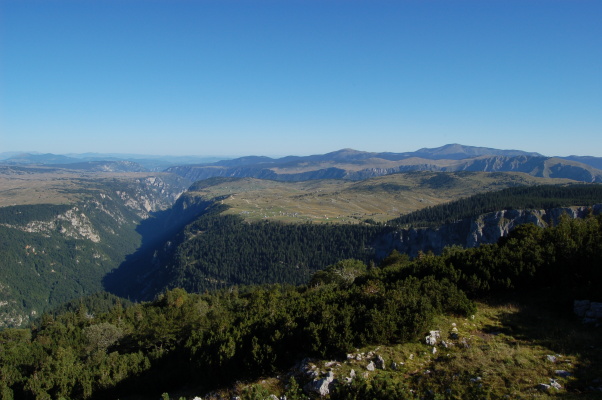 DSC_0390.jpg