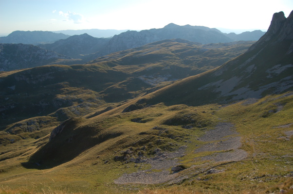 DSC_0444.jpg