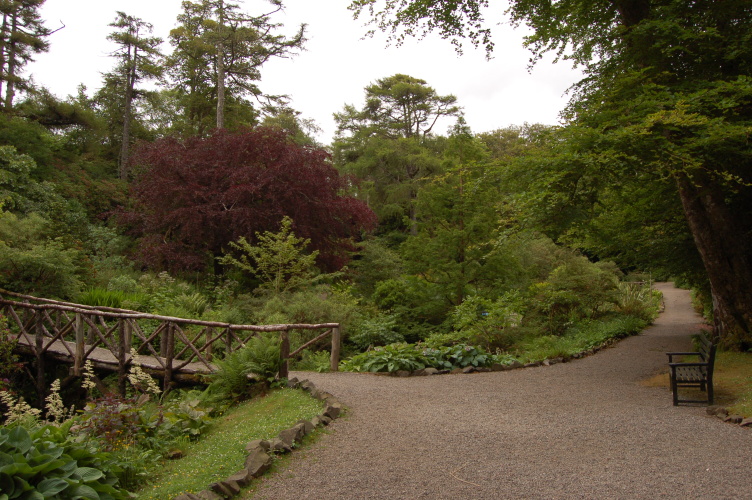 DSC_4257.jpg