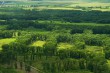 letecka-fotografie-luzni-lesy-soutoku-moravy-a-dyje-10136.jpg