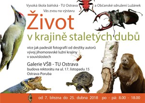 zivot-v-krajine-staletych-dubu_plakat.jpg